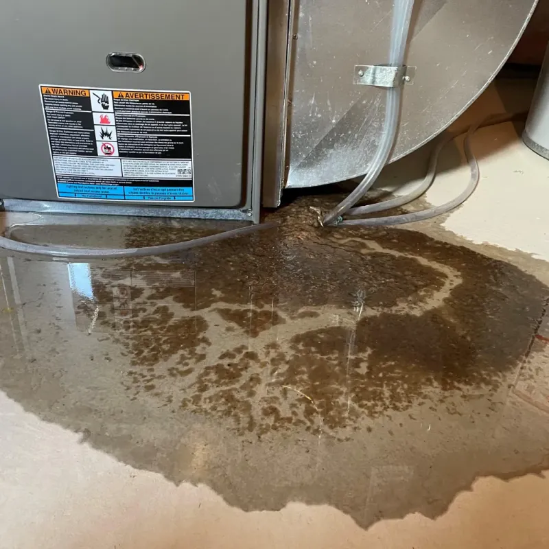 Appliance Leak Cleanup in Lake Arthur, LA